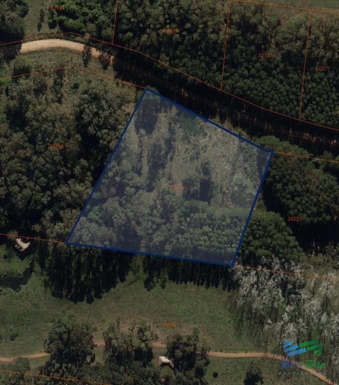 Vendo terreno de 1 hectárea tipo chacra en Laguna del Diar