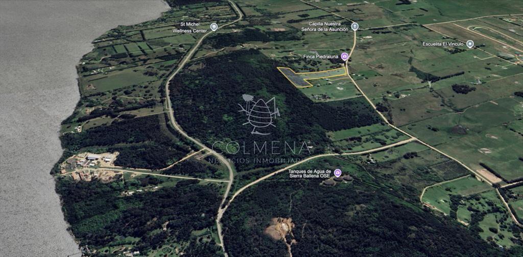 Campo de 5 has con 4658 m2 en La Pataia