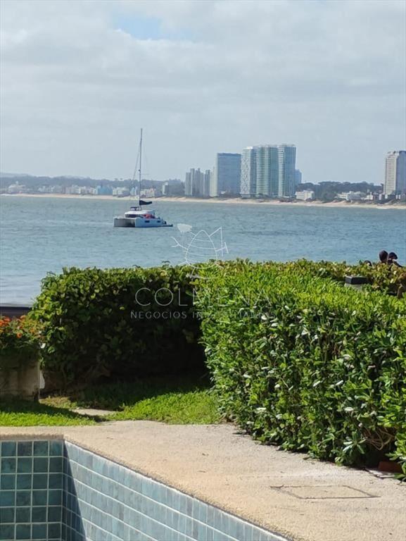 Apartamento en primera linea al puerto disponible
