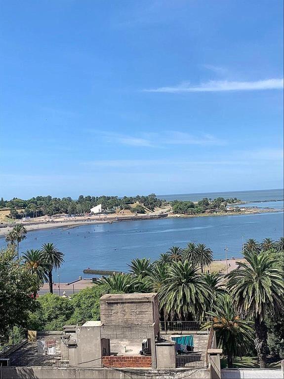 Venta Apartamento con Renta Parque Rodó Vista Monoambiente