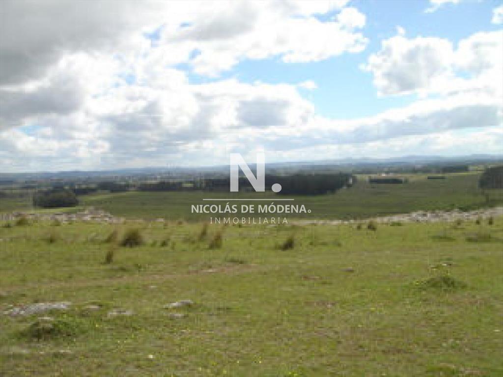 En venta enorme terreno en Barrio Camino