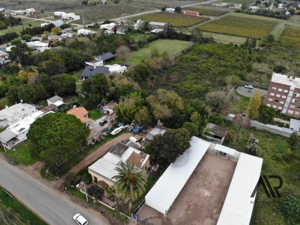 Gran Terreno En La Ciudad De Canelones Con Casa Antigua ...