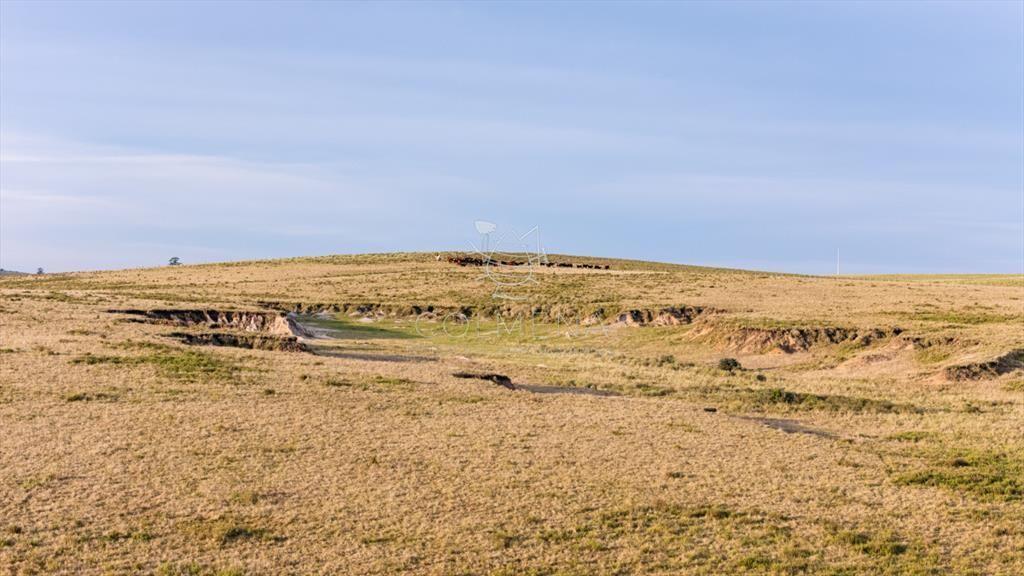 Venta campo 120 hectáreas, Garzón , Maldonado