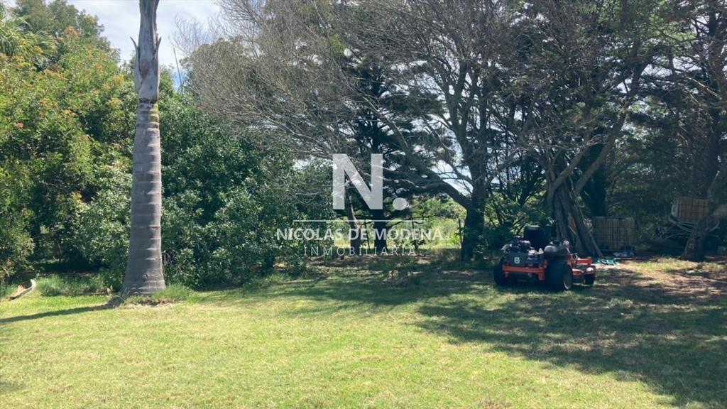 En venta chacra de 6hectareas en Jose Ignacio.