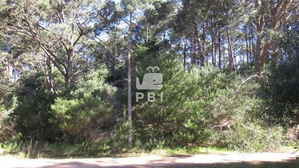 Terreno en venta Club Del Lago - Ref : PBI1151