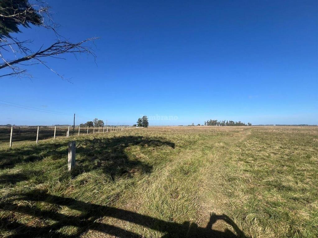 Estancia Ganadera 450 ha en Cerro Largo