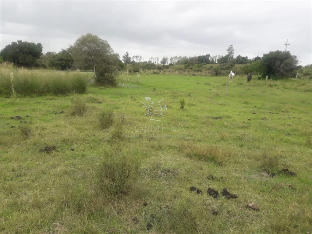 Campo de 5 has con 5891 m2