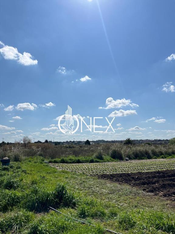 SE VENDE TERRENO BARRIOS PRIVADOS CANELONES. A DE