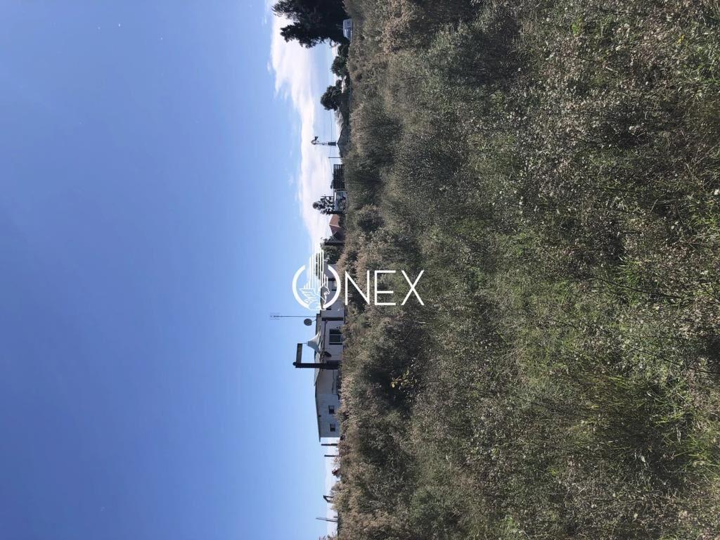 Se vende Chacra de 4ha más casa, sobre ruta