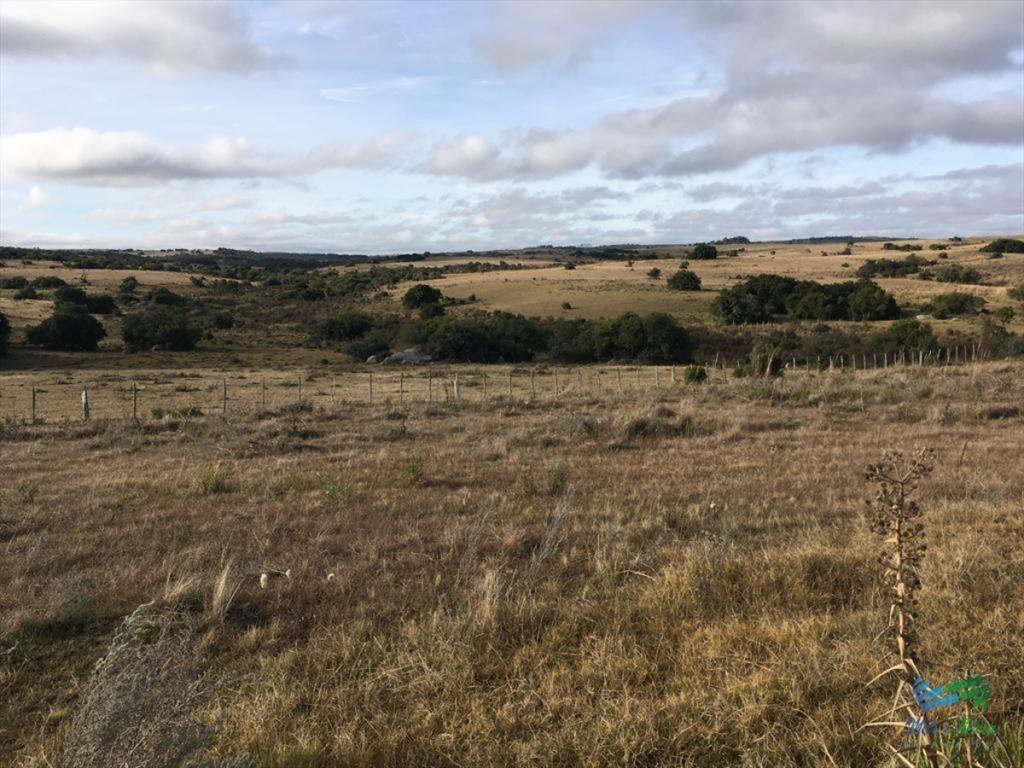 47 Has a 20 minutos Jose Ignacio y 3 kms de R.9