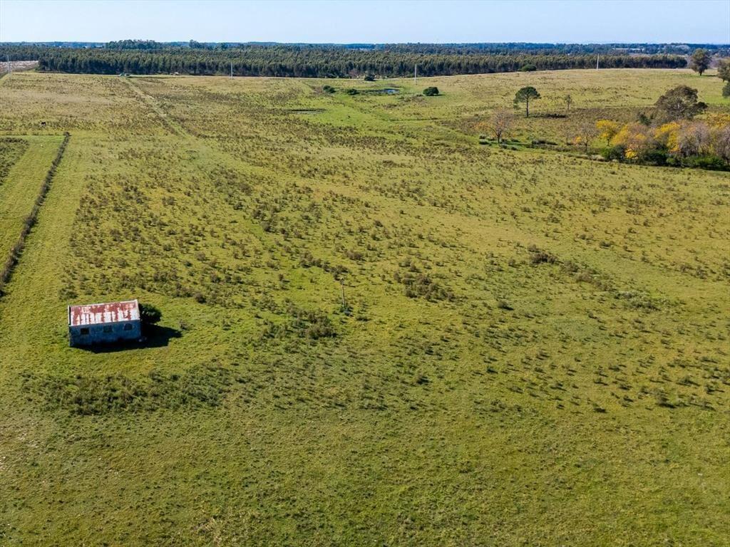 Venta de campo con 6 Ha. en Rincón de Pando