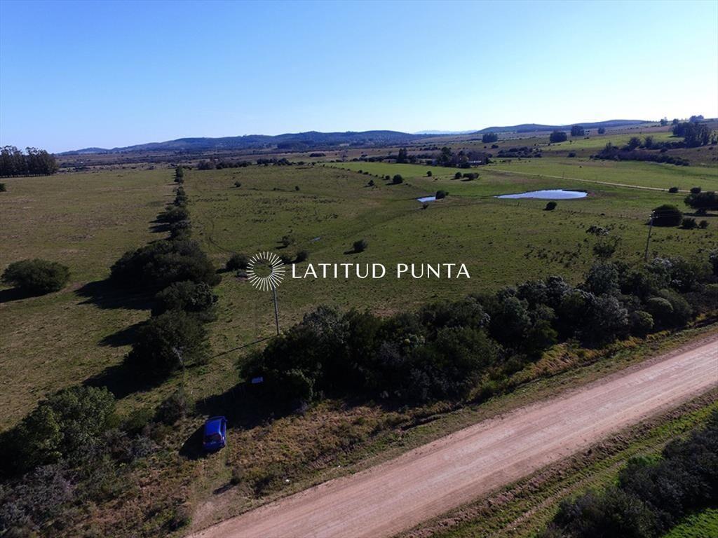 Campo de 22 has próximo a San Carlos y Punta del