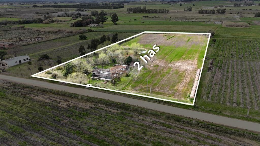 Vendo campo 2 hectáreas Pando Ru 75 casa y tajamar