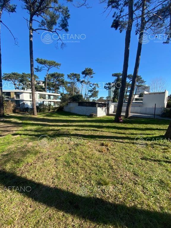 Oportunidad venta terreno Punta del Este con casa