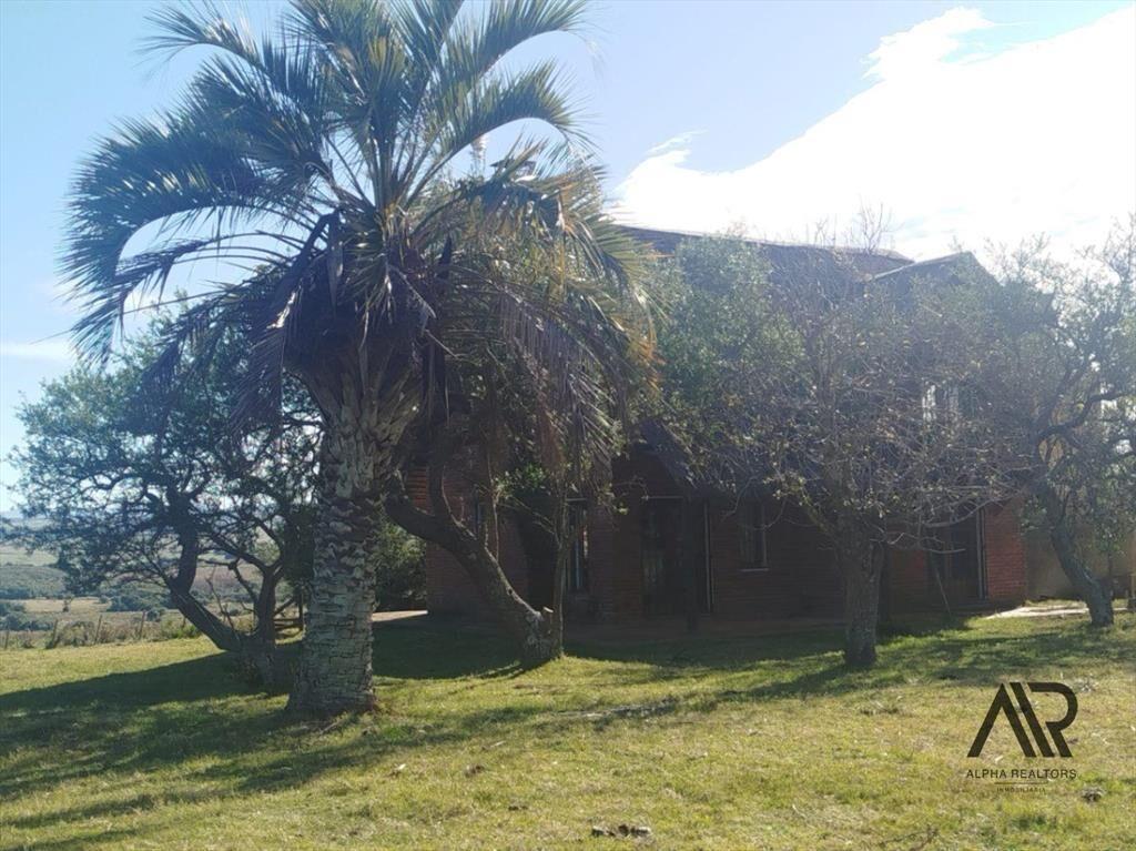 Chacra de 28 hectáreas, con casa y lindera al Arroyo San...