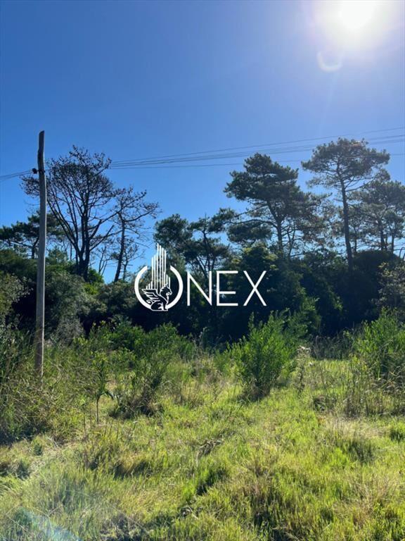 SE VENDE TERRENO EN OCEAN PARK