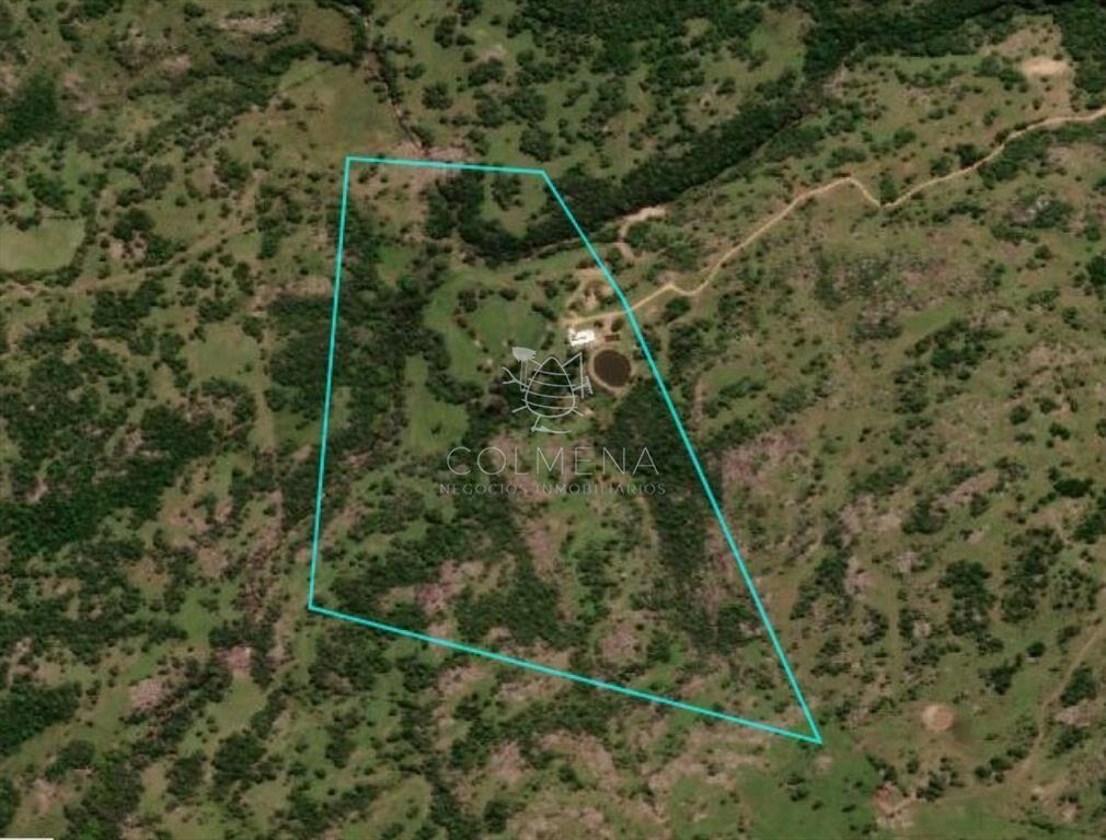 Campo en venta, a los pies del Cerro Catedral,