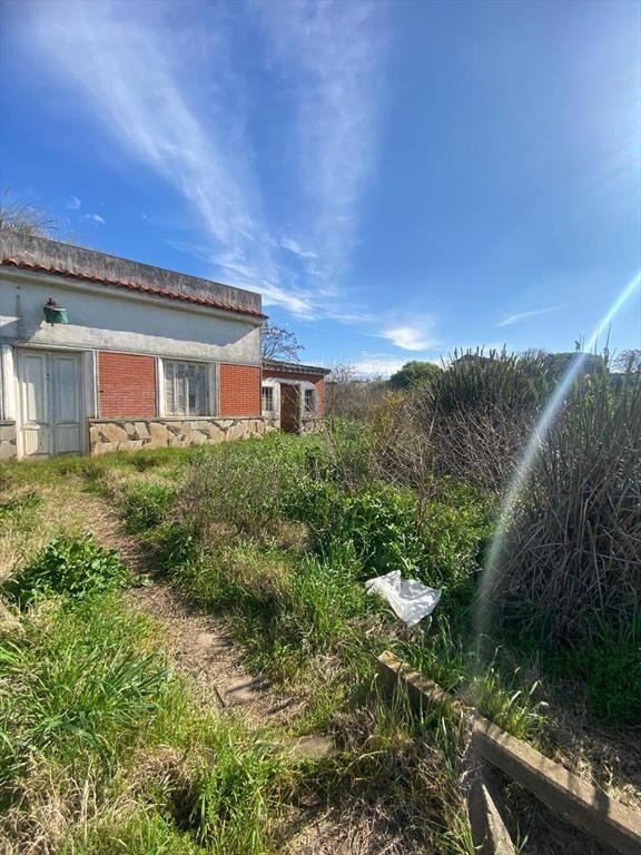 Venta Terreno fértil de 3 hectáreas con casa a reciclar en