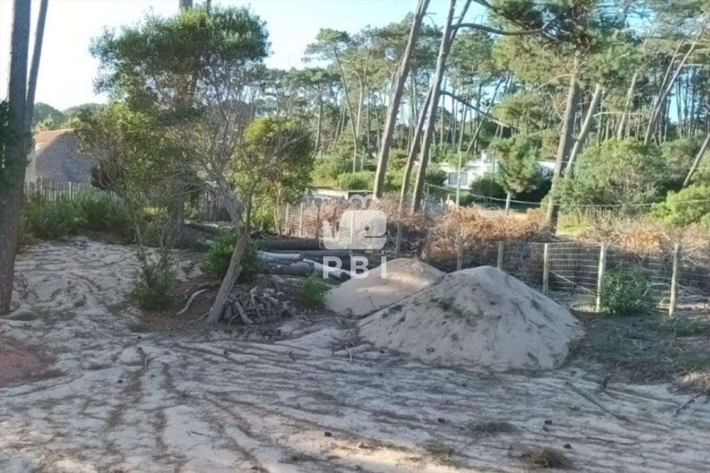 Venta de terreno, excelente ubicación, Punta - :