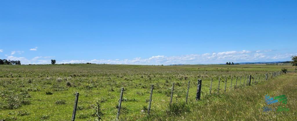 125 Has sobre R.9 muy bien campo Agricola-Ganadero