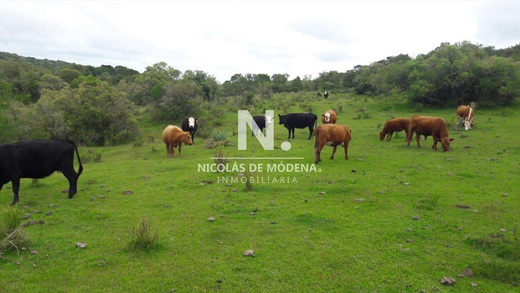 Campo en Aigua , Maldonado, 62 Hectáreas