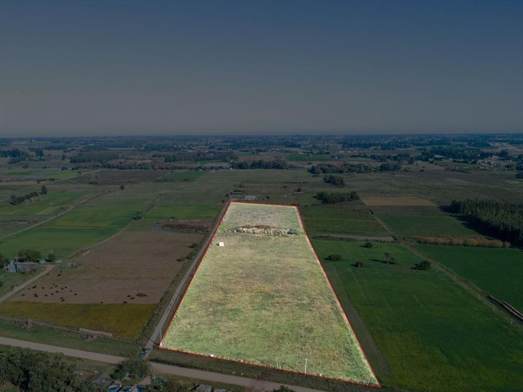VENTA DE CAMPO 4 HECTAREAS CON TAJAMAR RUTA 75