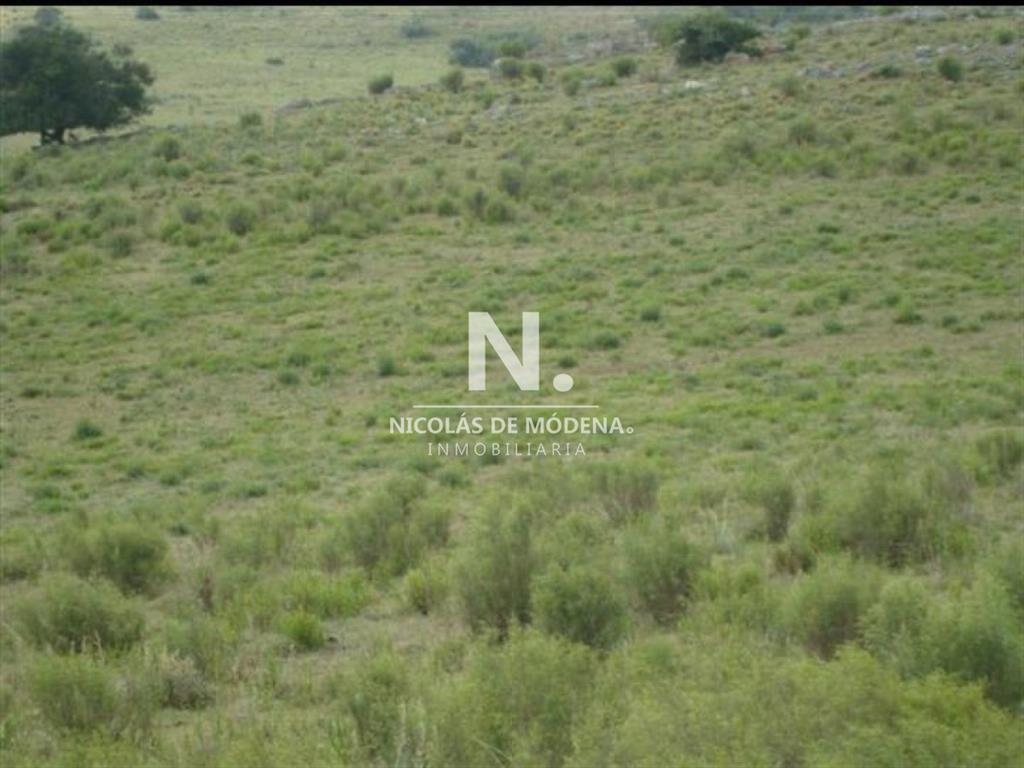 Campo de 95hás.