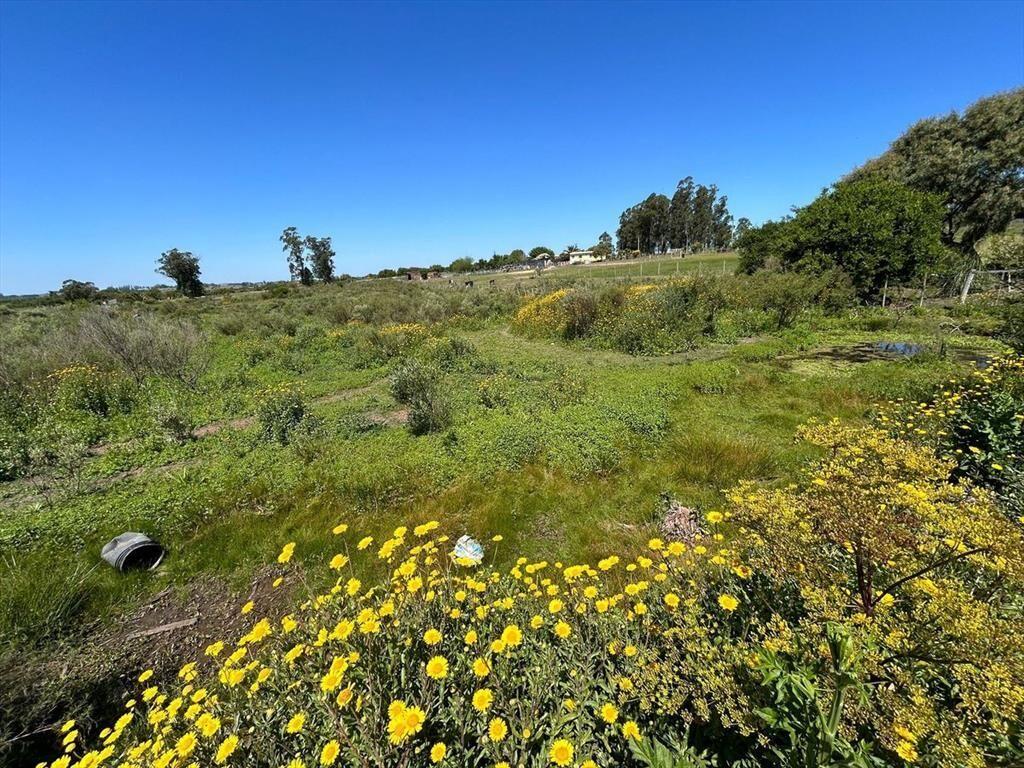 VENTA DE TERRENO SAN CARLOS MALDONADO