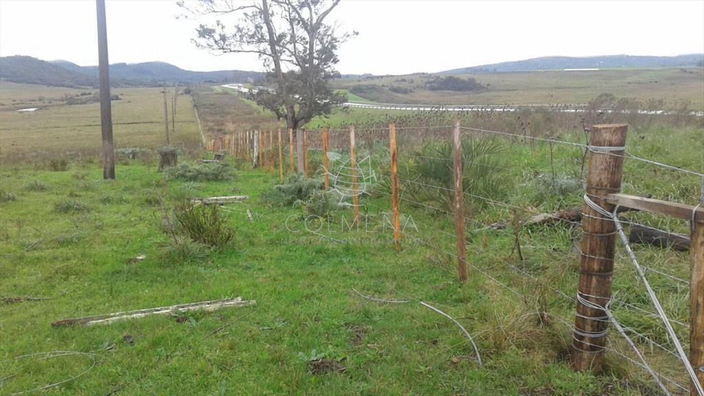 Campo en Lavalleja - 79 has con 8432 m2 -