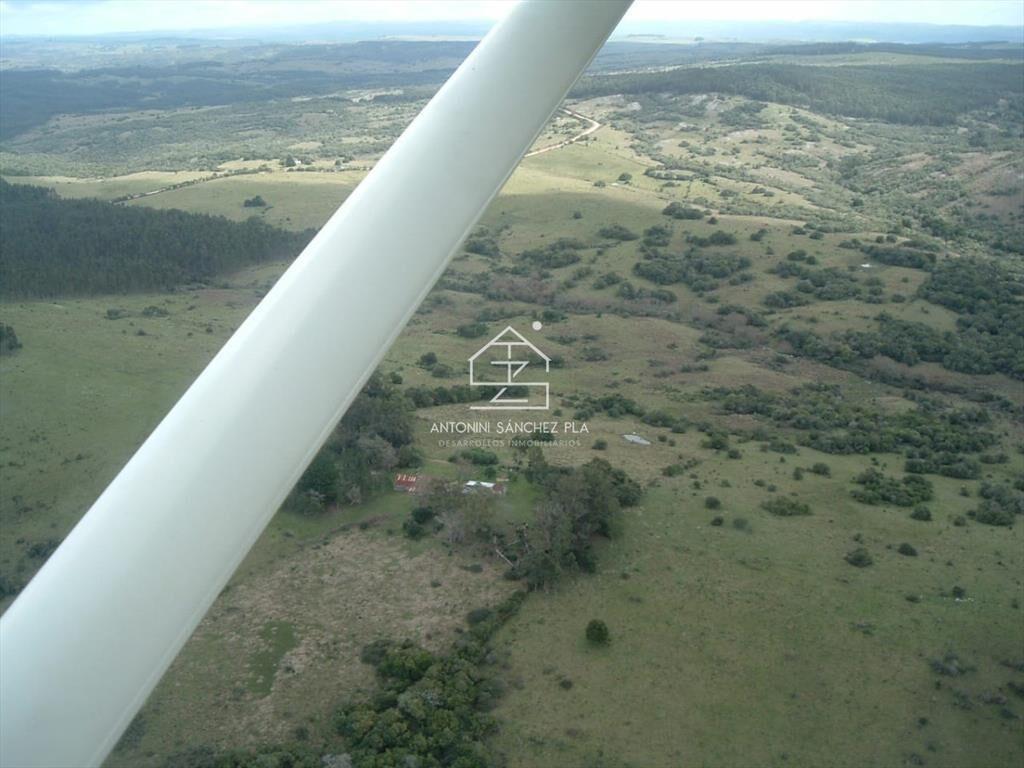Venta Campo Ganadero Forestal Rocha