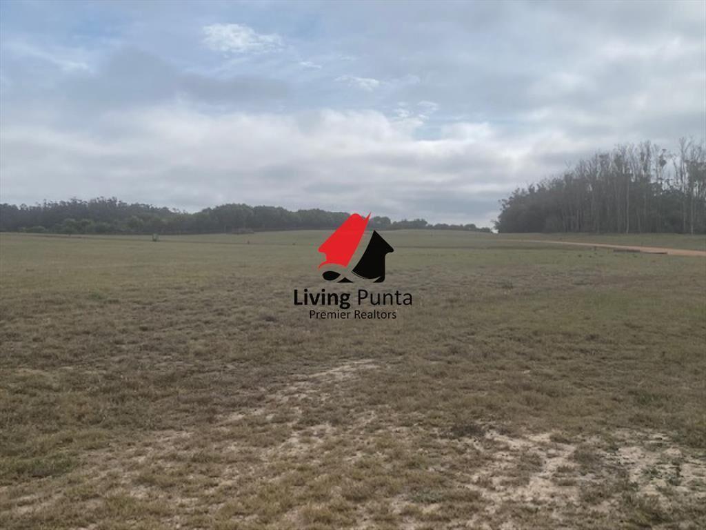 LAS GARZAS, GRAN LOTE PRÓXIMO AL MAR