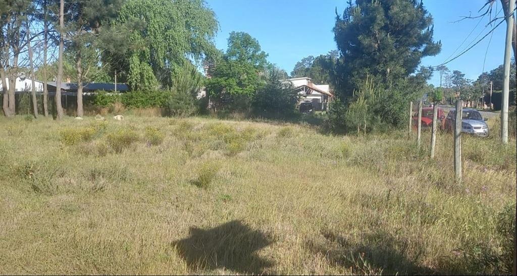 EXCELENTÍSIMA PROA COMERCIAL AV. GIANNATTASIO. Terreno Vent