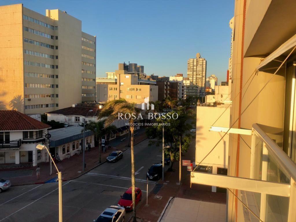 a pocos metros del Puerto de Punta del Este