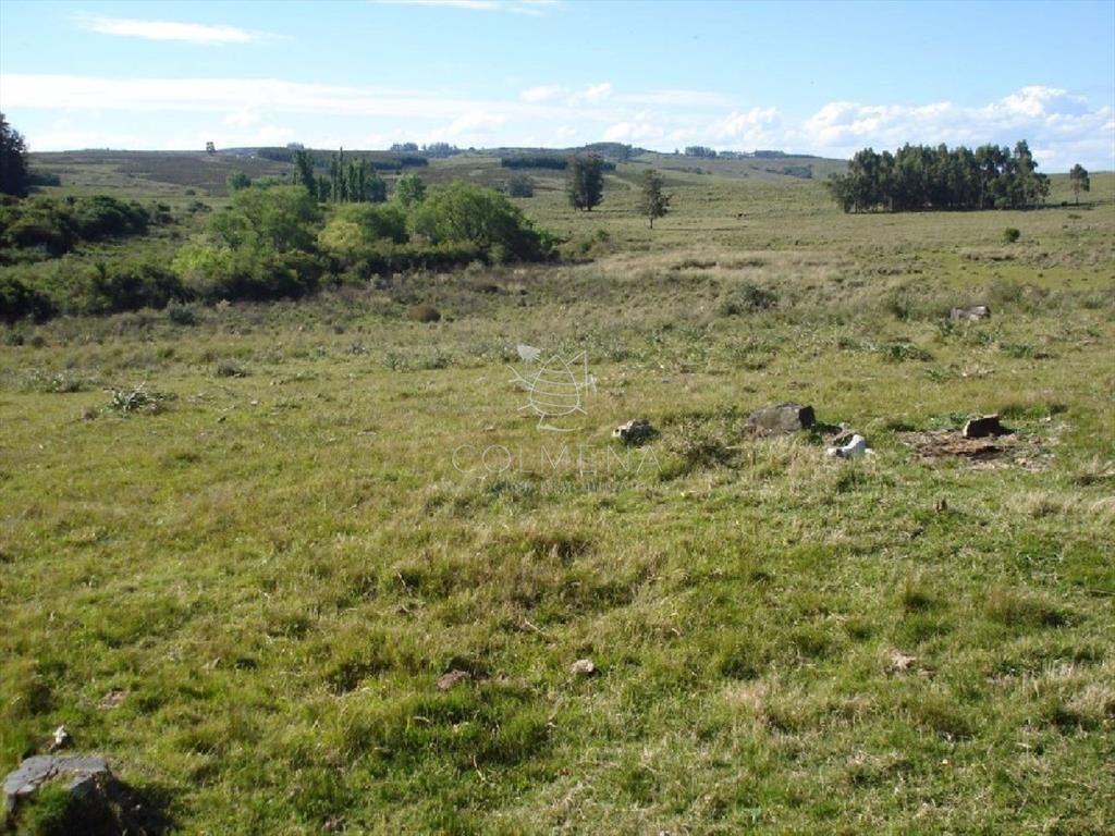 Campo 98 has con 2891 m2 en Carape cuenta con de