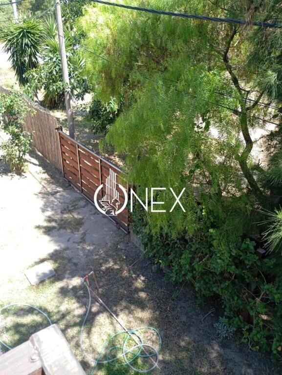 Se venden 2 casas + monoambiente en un mismo -