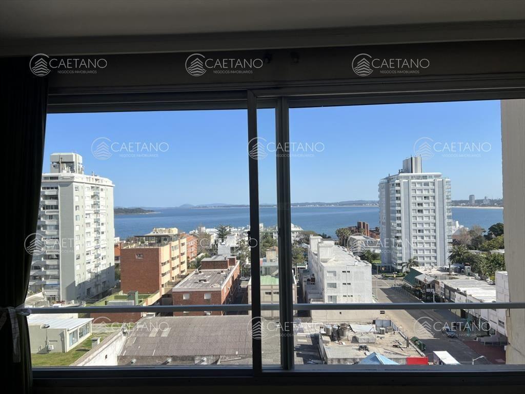Venta de apartamento 1 dormitorio. Península,