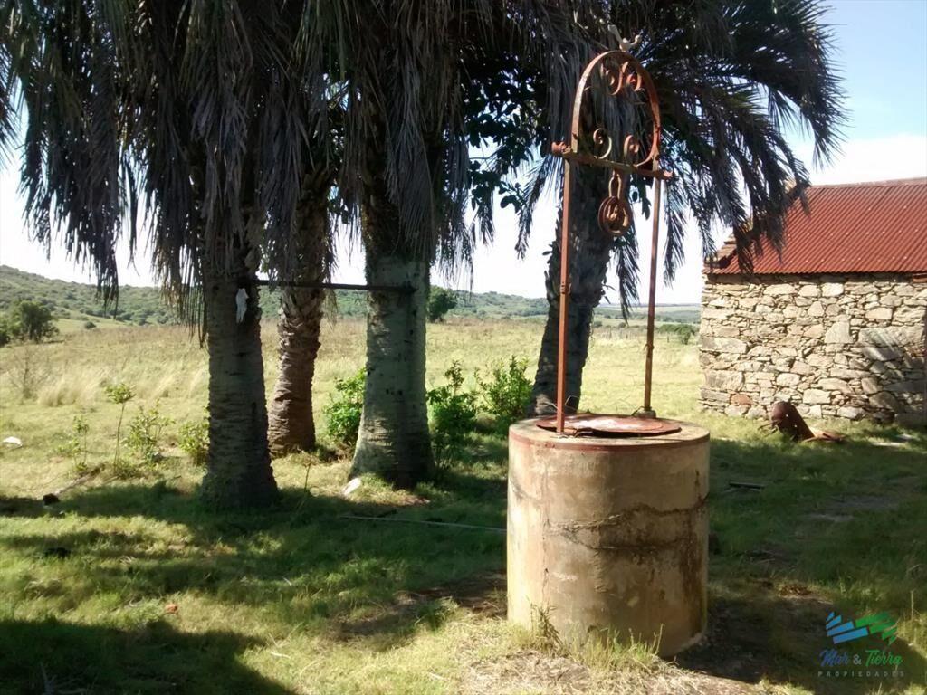 51 Has Campo Secreto