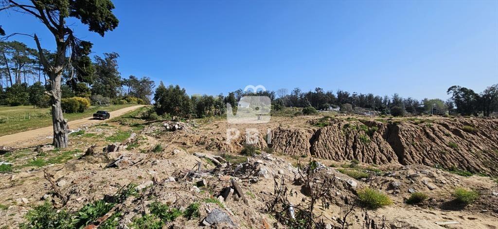 Terrenos en venta frente a Club de Golf de Punta