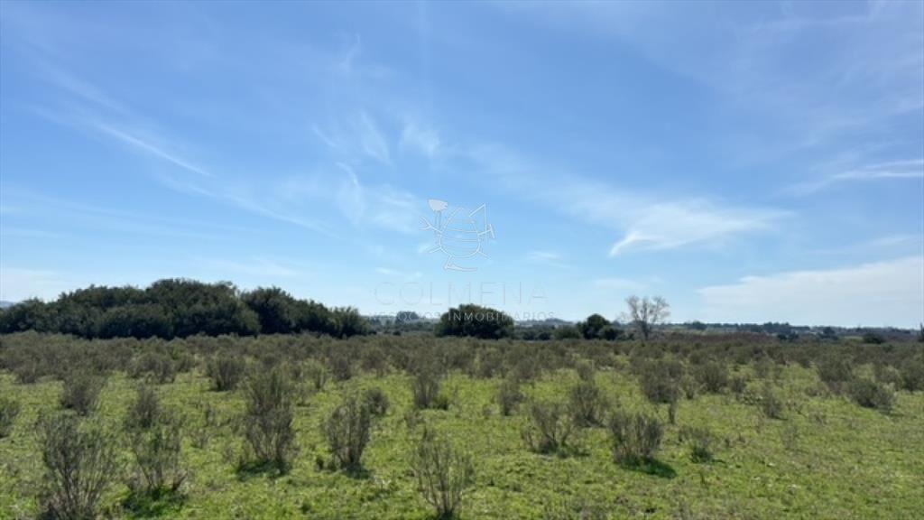 Campo 22 has con costa de arroyo ideal para