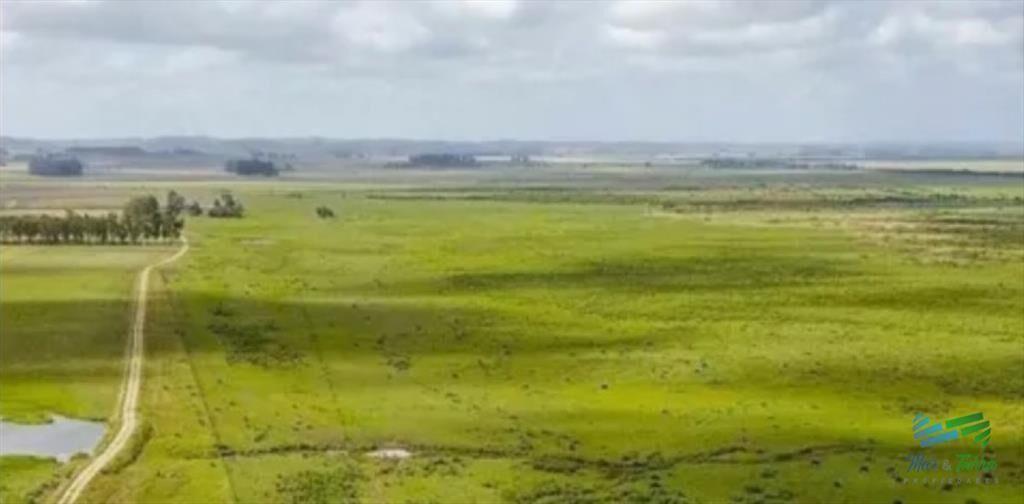 Excelente Estancia Completa Agrícola-Ganadera, y