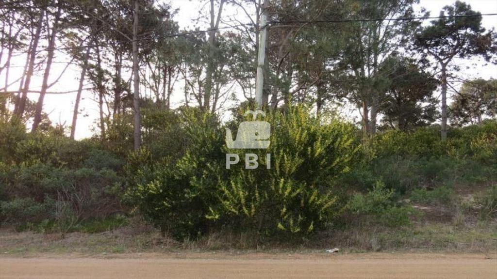 Terreno en venta Chihuahua - Ref : PBI906