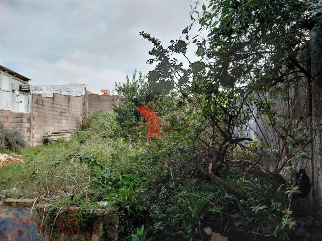 Venta casa o local con reciclaje, padrón único, Paso Moli