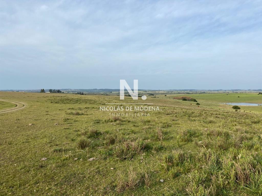 Campo en José Ignacio