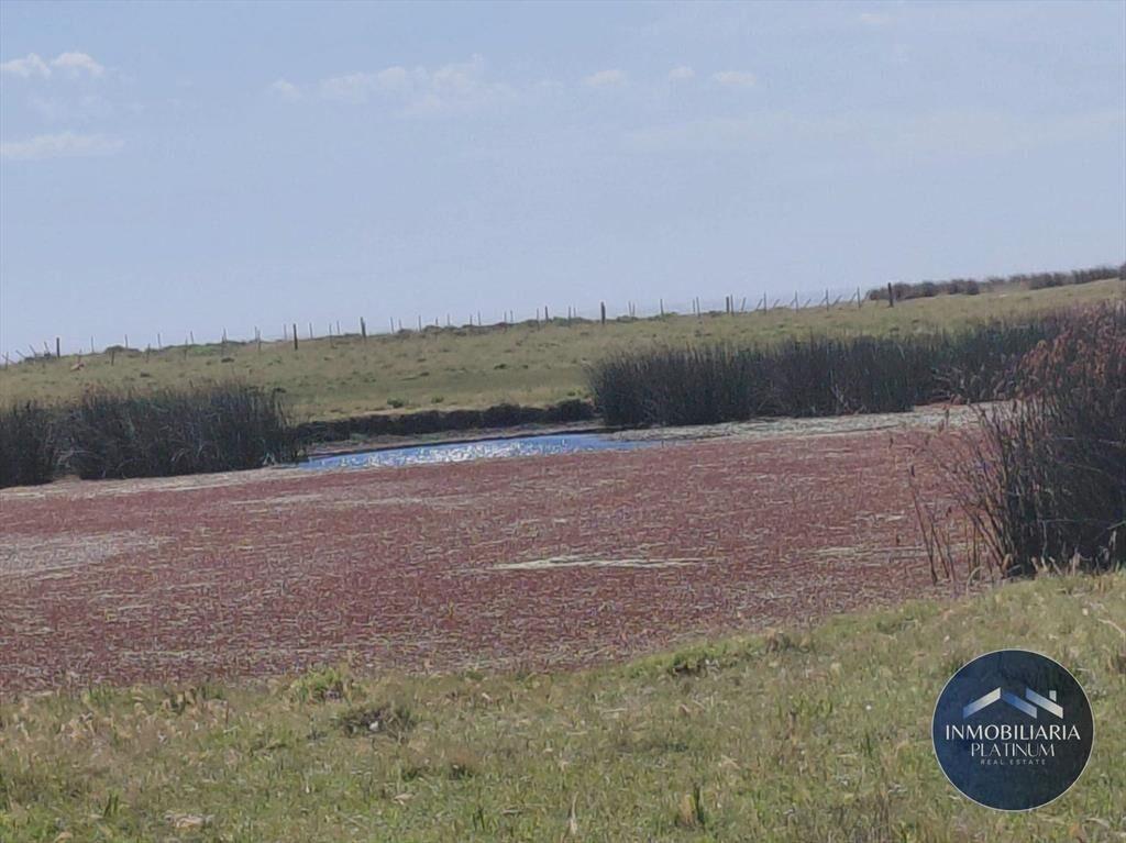 Terreno en venta de 504m2 ubicado en La Florida