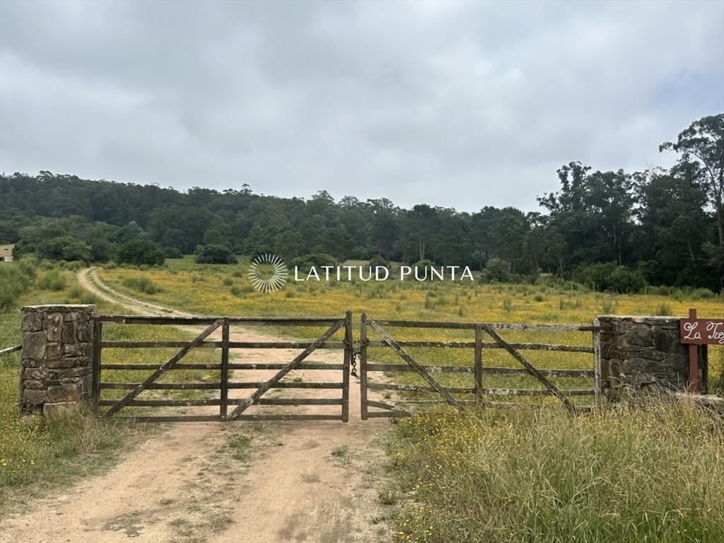 Chacra en zona La Pataia. Punta Ballena