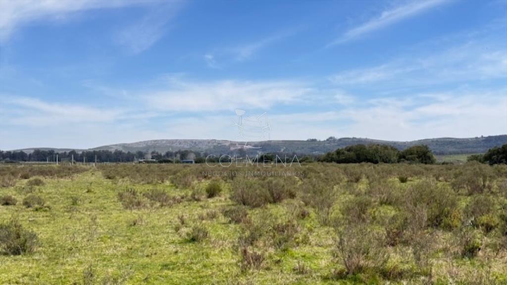 Campo 22 has con costa de arroyo ideal para