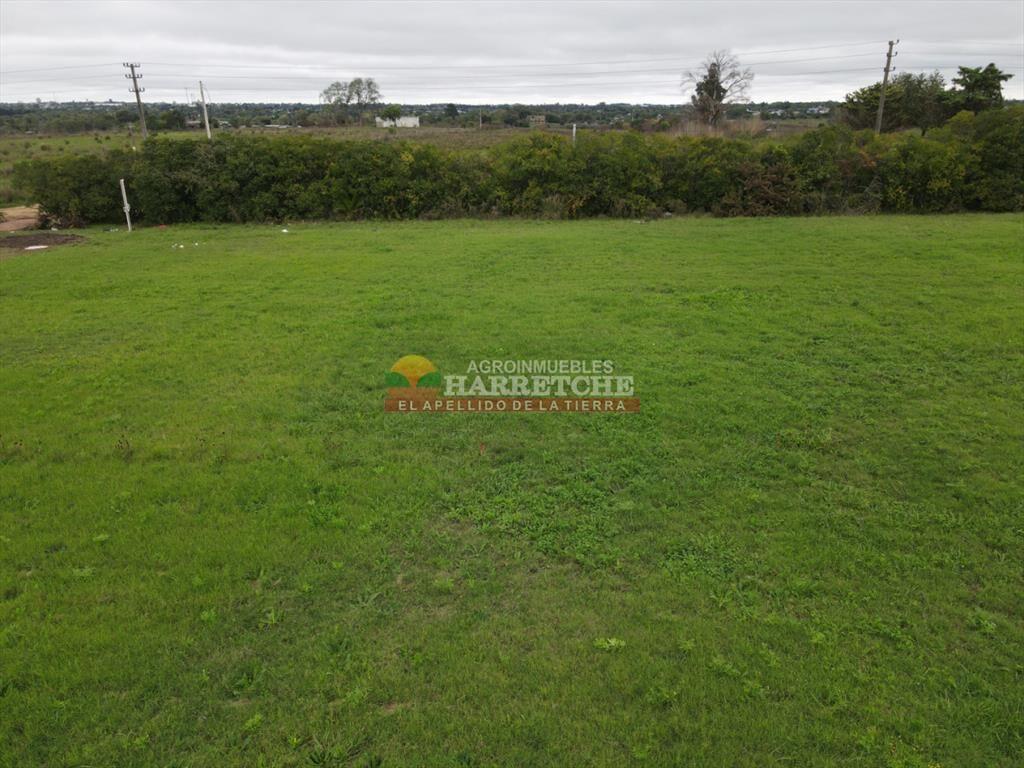 Terreno en Progreso, 360 m2 en Jardín de los Ingleses (7)