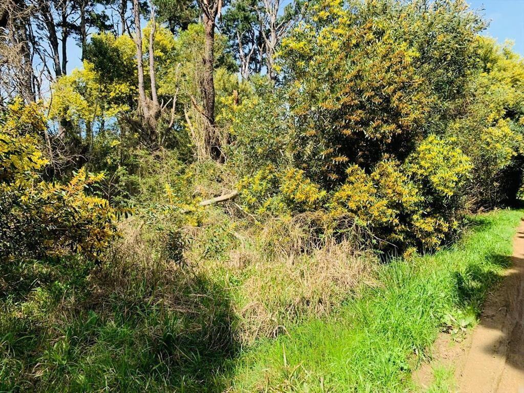 Venta Lote Rocha Santa Isabel de la Pedrera