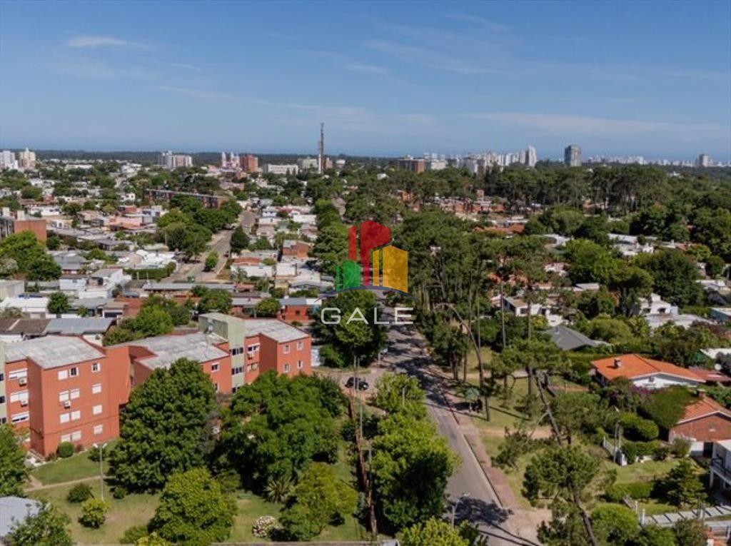 OPORTUNIDAD APARTAMENTO 4 DORMITORIOS CON B9
