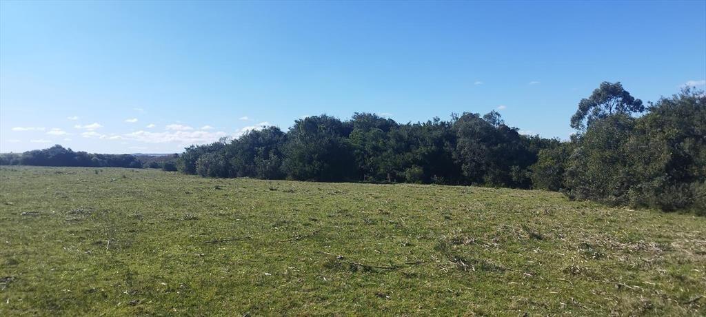 Chacra Paso del Tigre - San Carlos - Maldonado